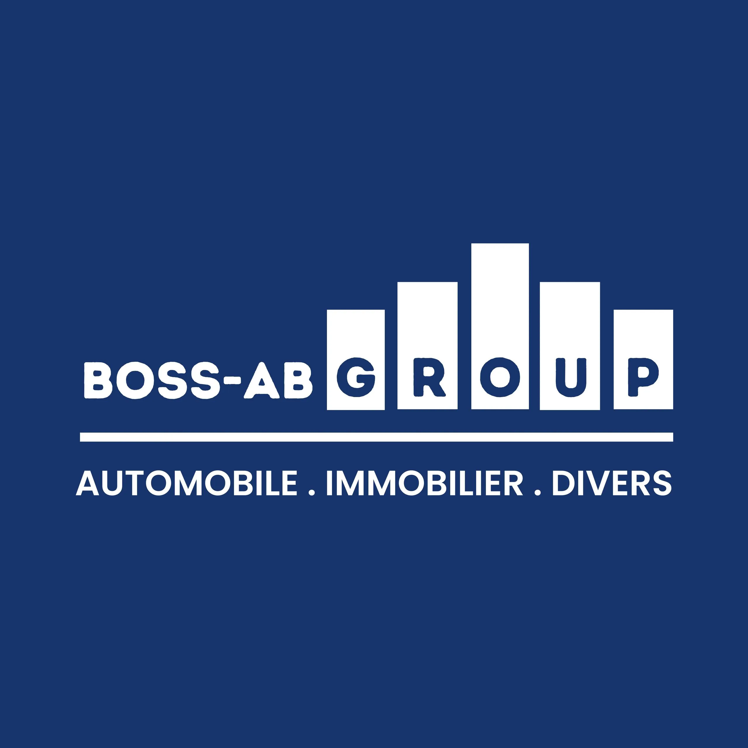 Image du projet Logo Design - BOSS-AB GROUP - Conception complète de l'identité visuelle pour BOSS-AB GROUP : logo professionnel, charte graphique et branding complet.